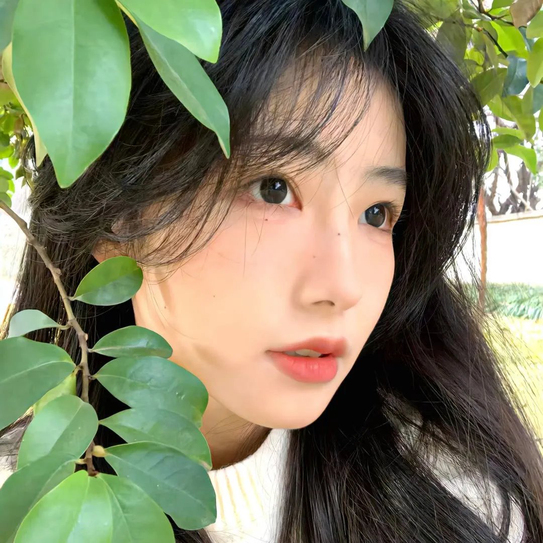 小心间谍